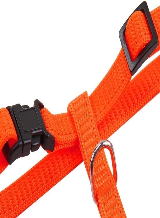 KittuPet Harness with Leash for Small Dog and Cat 10 mm Harness Leash and Collar (Orange, Cat harnes,Leash and Collar) - Image 4